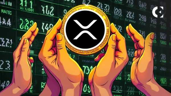 Webus описывает стратегию казначейства XRP на сумму 300 млн долларов в новом отчете в SEC США