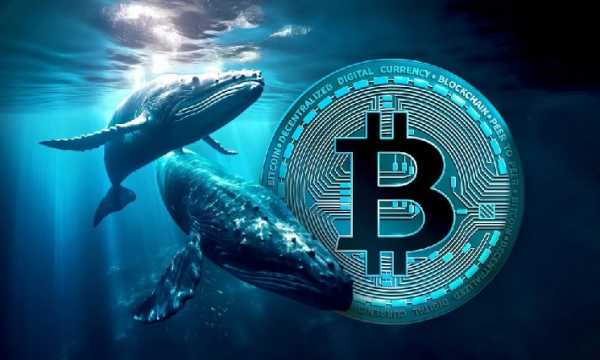 «Большие киты» продолжают продавать биткоин для фиксации прибыли