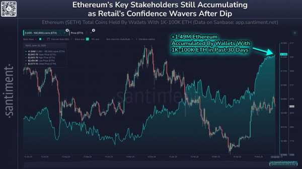 Киты и акулы Ethereum продолжают скупать ETH, розничные трейдеры обналичивают средства