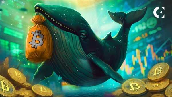 Биткоин упал на 5,5%, но институциональные покупки выросли до более чем 1,3 млрд долларов