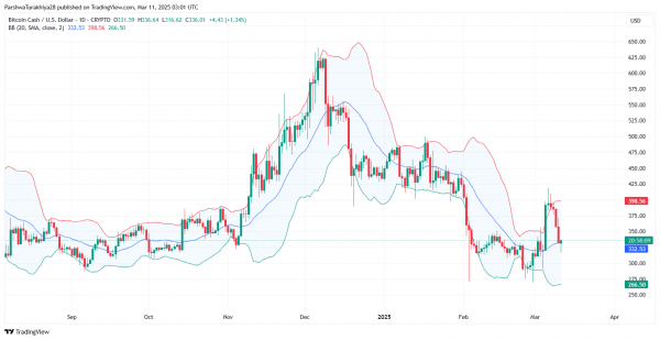 Прогноз цены Bitcoin Cash (BCH) на 2025-2030 годы: перспективы на будущее, потенциал роста и рыночные тенденции