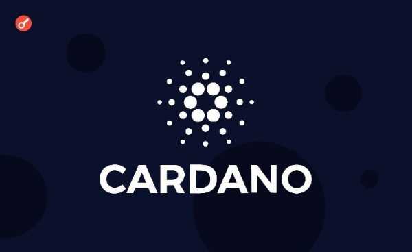 Соучредитель Solana назвал идею Cardano с покупкой биткоинов «тупой»
