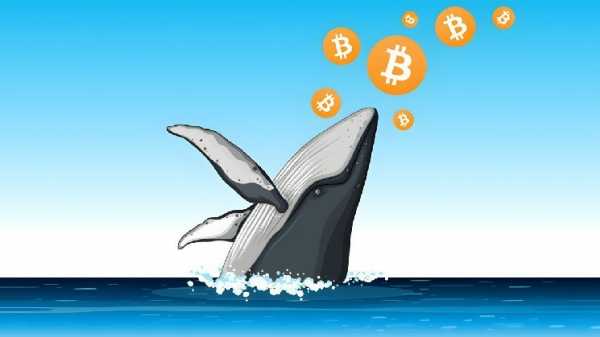 Metaplanet планирует инвестировать в биткоин $9,4 млрд за полтора года