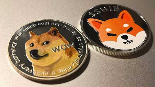 
                    3 причины, по которым Shiba Inu может обогнать Dogecoin к 2030 году                
