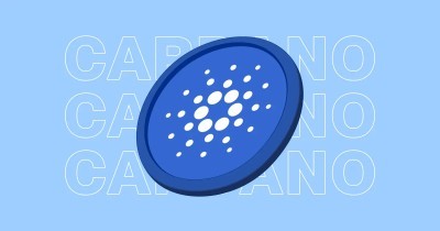 Чарльз Хоскинсон анонсировал аирдроп ADA перед запуском Midnight Protocol