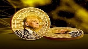 TikTok отрицает обвинения в покупке монет Трампа владельцами