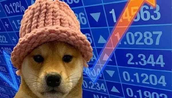 Dogwifhat падает после пробоя уровня поддержки «золотой карман»