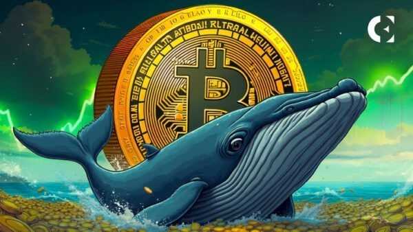 Киты Bitcoin переместили $1 млрд в BTC за несколько часов после того, как спящий инвестор проснулся с рентабельностью инвестиций в размере 3 176 464%
