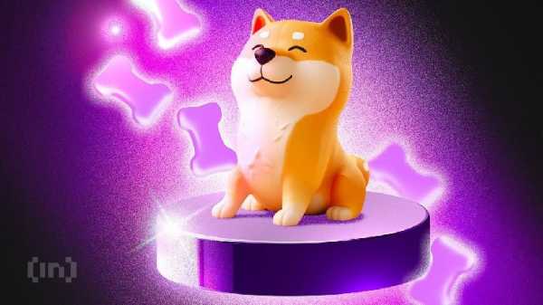 Почему падение Shiba Inu может привести к ликвидациям