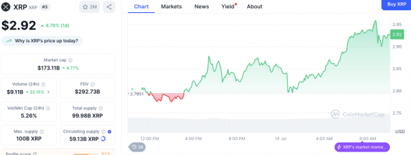 Нет, SEC не затягивает дело Ripple: бывший директор SEC объясняет задержку