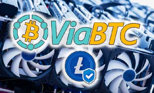 Майнинг Litecoin в 2025 году: перспективы, пул ViaBTC и домашний асик Elphapex DG Home 1