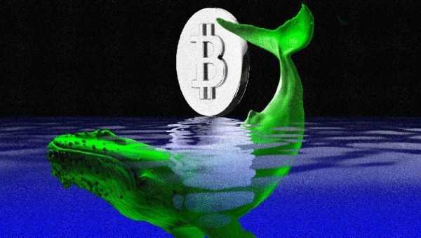 Ралли биткоина (BTC) подстегивается покупателями из США