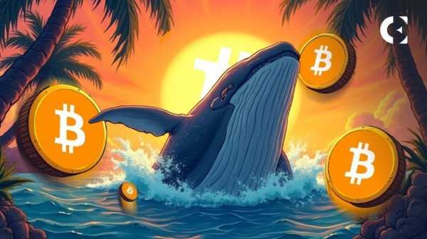 Биткоин держится на плаву, пока киты поглощают розничные продажи на Binance