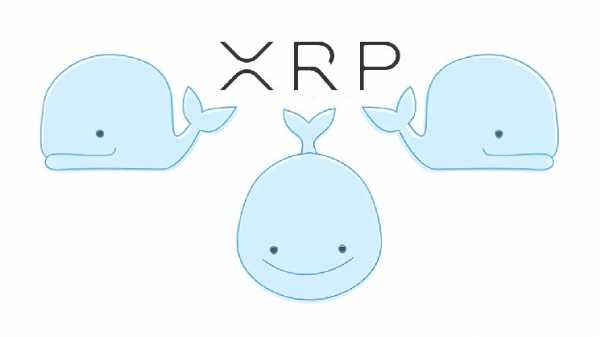 Исторический максимум китов XRP совпал с ростом токена на 25% за неделю
