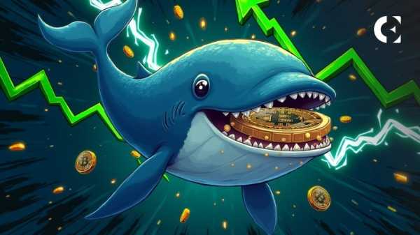 Судя по исторической активности китов, цене биткоина (BTC) ещё предстоит долгий путь роста