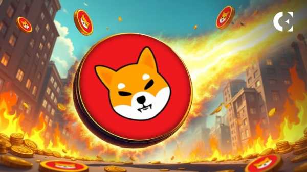 Скорость сжигания SHIB резко возросла на 4000% благодаря транзакции с китом