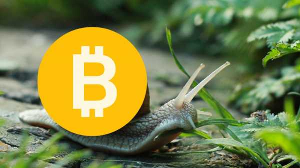 
                    Bitfinex: о вертикальном росте курса биткоина не стоит и мечтать                