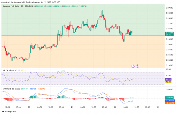 Прогноз цены Dogecoin (DOGE) на 23 июля