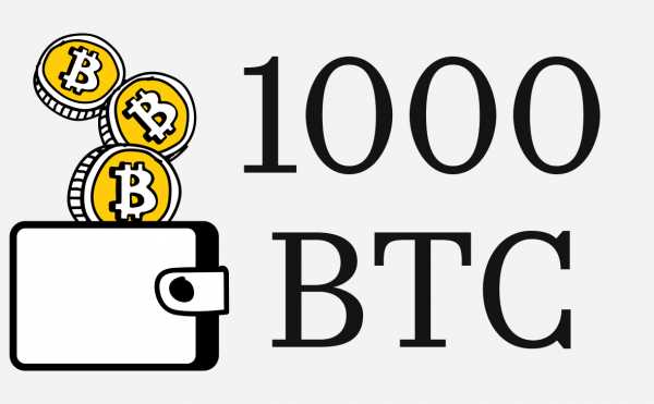 Кто покупает биткоин. Сколько компаний купило биткоин в 2025 году