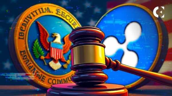 Нет, SEC не затягивает дело Ripple: бывший директор SEC объясняет задержку