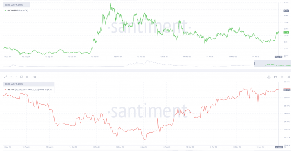 Киты толкают Cardano (ADA) к прорыву $1