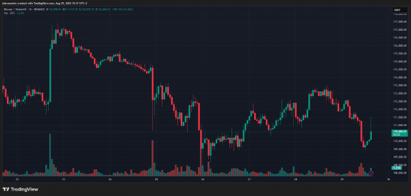 Аналитик назвал условие для продолжения ралли биткоина