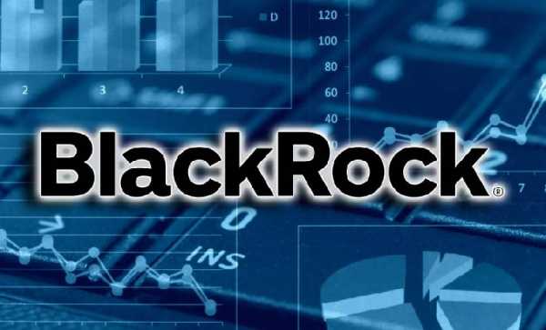 Компания BlackRock стала крупнейшим держателем биткоинов после Сатоши Накамото