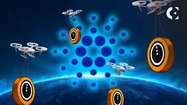 Аирдроп Cardano «Midnight Glacier»: как узнать, прошли ли вы квалификацию