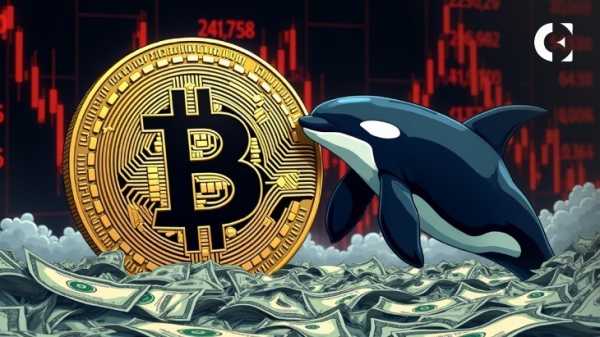 «Отличная область для накоплений»: аналитик советует покупать биткоин (BTC) на фоне падения