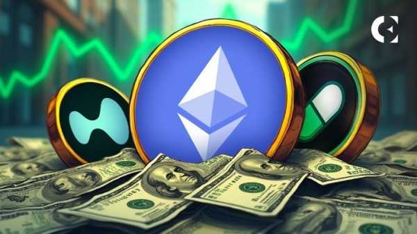 Знаменитый криптокит Machi Big Brother получил прибыль в размере 30 миллионов долларов на ETH, хайпе и пампе