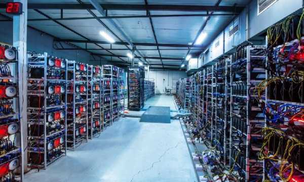 Hive Digital сообщил о рекордной выручке в первом квартале благодаря биткоину и HPC