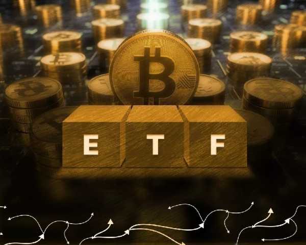 Американские университеты нарастили позиции в биткоин-фондах