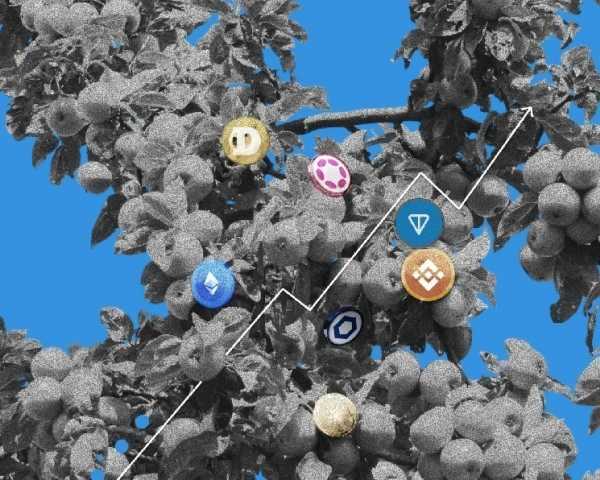 Аналитики дали бычий прогноз по XRP и Solana