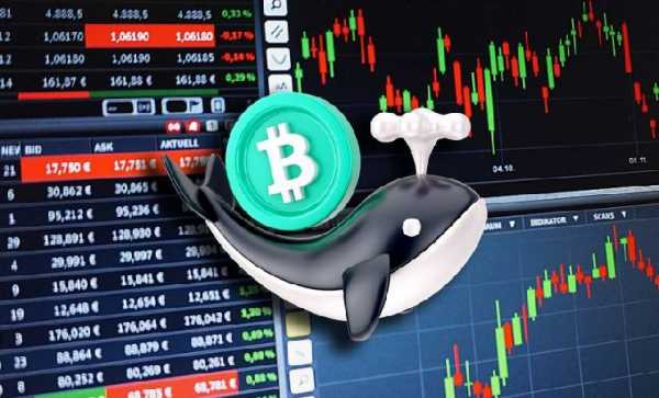 Активность китов на Binance указывает на сохраняющийся баланс при росте котировок BTC