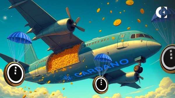 Midnight Airdrop от Cardano уже начался: токены NIGHT доступны для раздачи в 8 цепочках