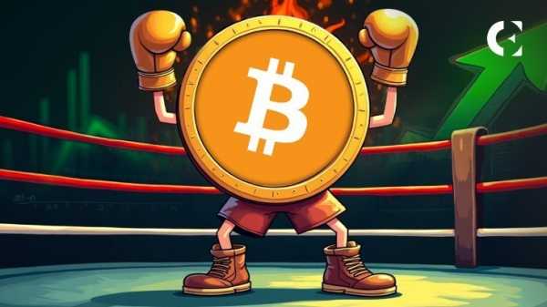 Цена биткоина упала на 4%, но спрос на него со стороны владельцев сети вырос на 160 000 BTC