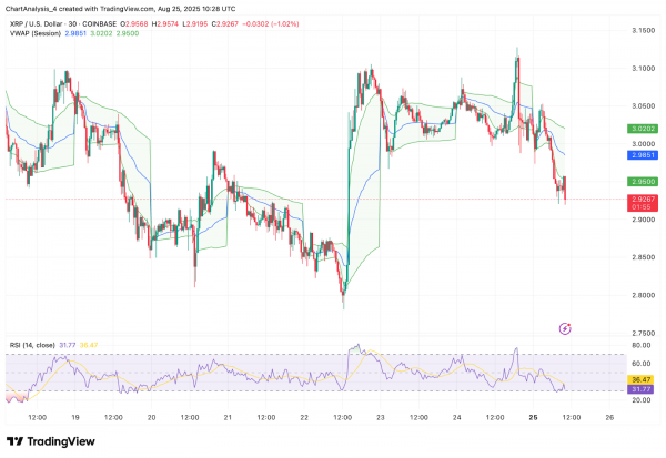 Прогноз цены XRP (XRP) на 26 августа