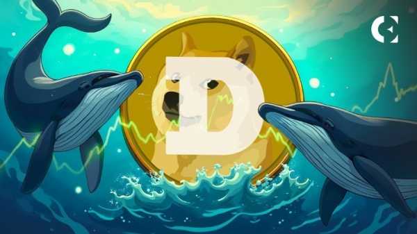 Киты Dogecoin скупили 230 миллионов DOGE за 24 часа, поскольку цена пробила ключевой уровень