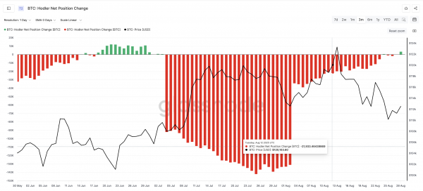 Цена биткоина (BTC) восстанавливается: ходлеры подают бычий сигнал