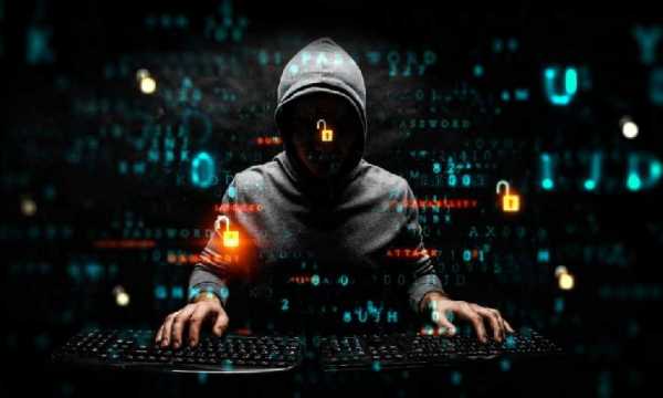 NEAR Protocol демонстрирует устойчивый бычий тренд на фоне роста экосистемной активности