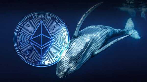 
                    BitMine купила эфириумы на дне, пока трейдеры несли убытки                