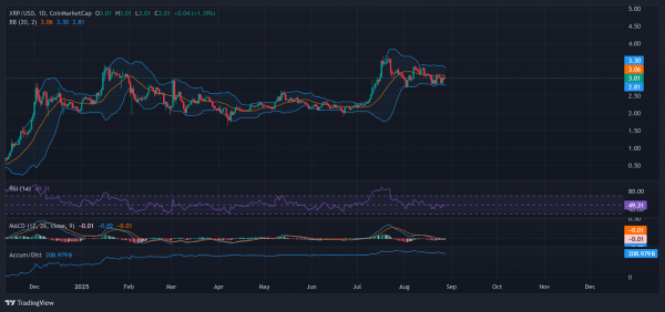 Обновление списка XRP Rich List выявило шокирующе низкий уровень входа для 10% самых богатых людей