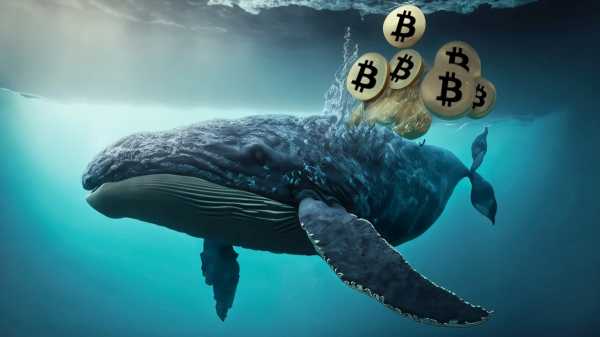 
                    Биткоин-кит продал BTC на $76 млн, чтобы купить эфириумы                