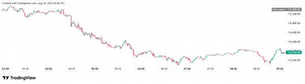 Биткоин просел до $115 000. Объем ликвидаций превысил $480 млн