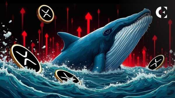 Киты XRP снова продают, следуя тенденции, которая привела к прошлым падениям цен