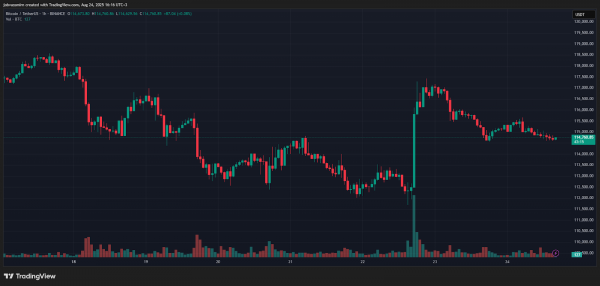 Итоги недели: Ethereum обновил ATH, а два биткоин-пула захватили 51% хешрейта