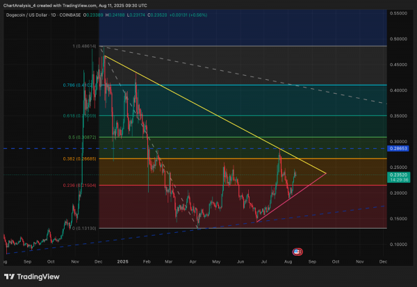 Прогноз цены Dogecoin (DOGE) на 12 августа
