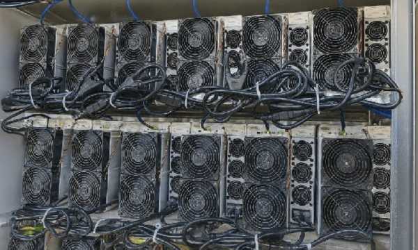 Самые прибыльные ASIC-майнеры в августе 2025 года: рейтинг