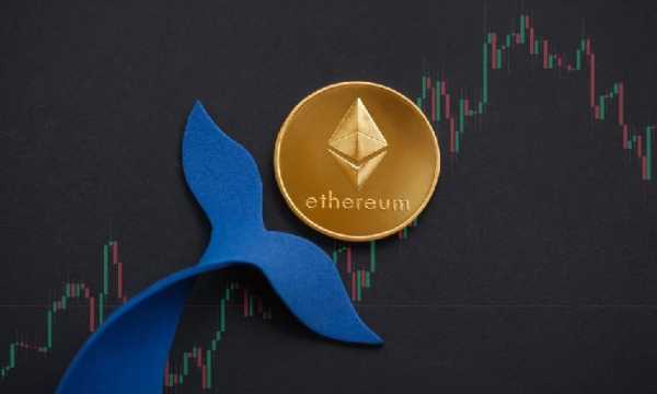 Объем ETH в портфеле BitMine достиг $6,6 млрд при падении акций на 14% за неделю