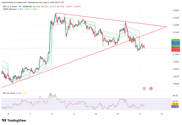 Прогноз цены XRP (XRP) на 13 августа